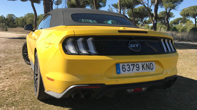 mustang4