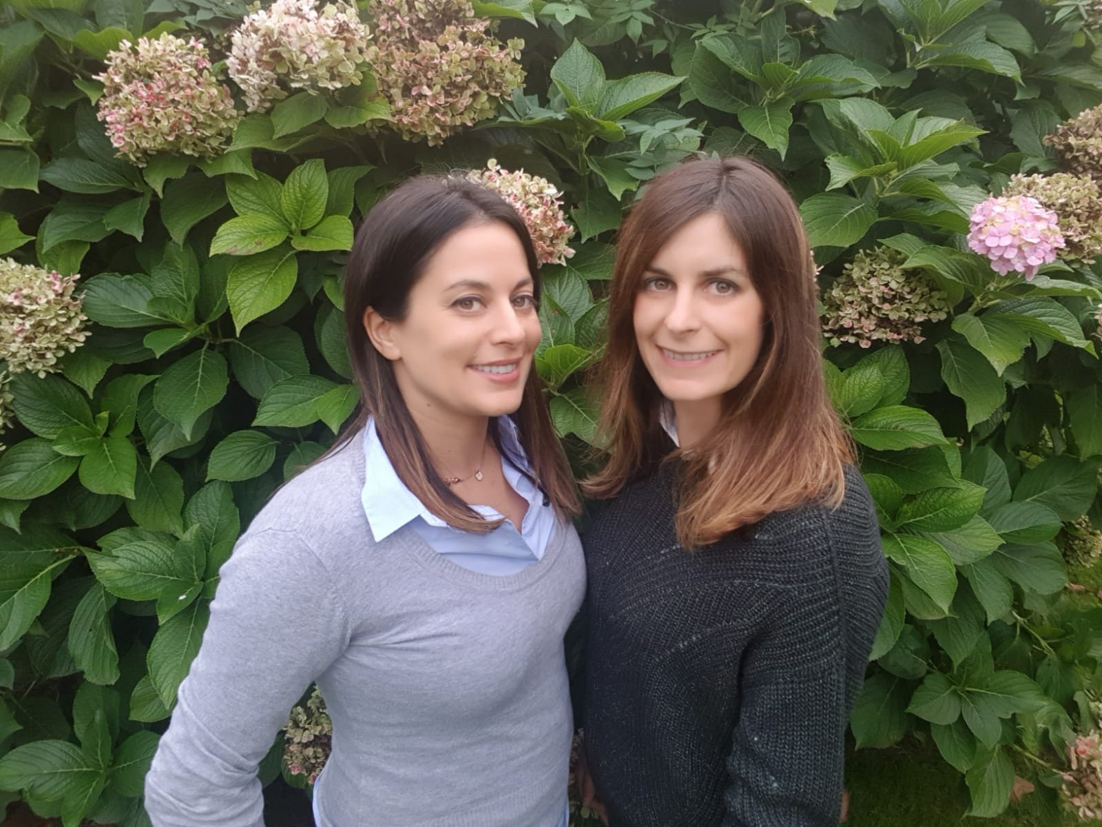 9d831d3d-c4e7-4517-8ed3-d68dc924a4bd