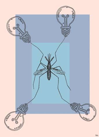 manuel de lorenzo interior