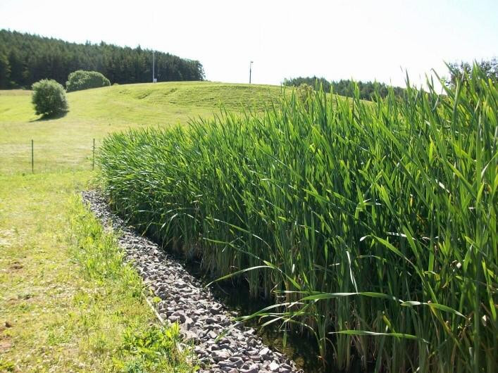 Sistema de humedales.EP