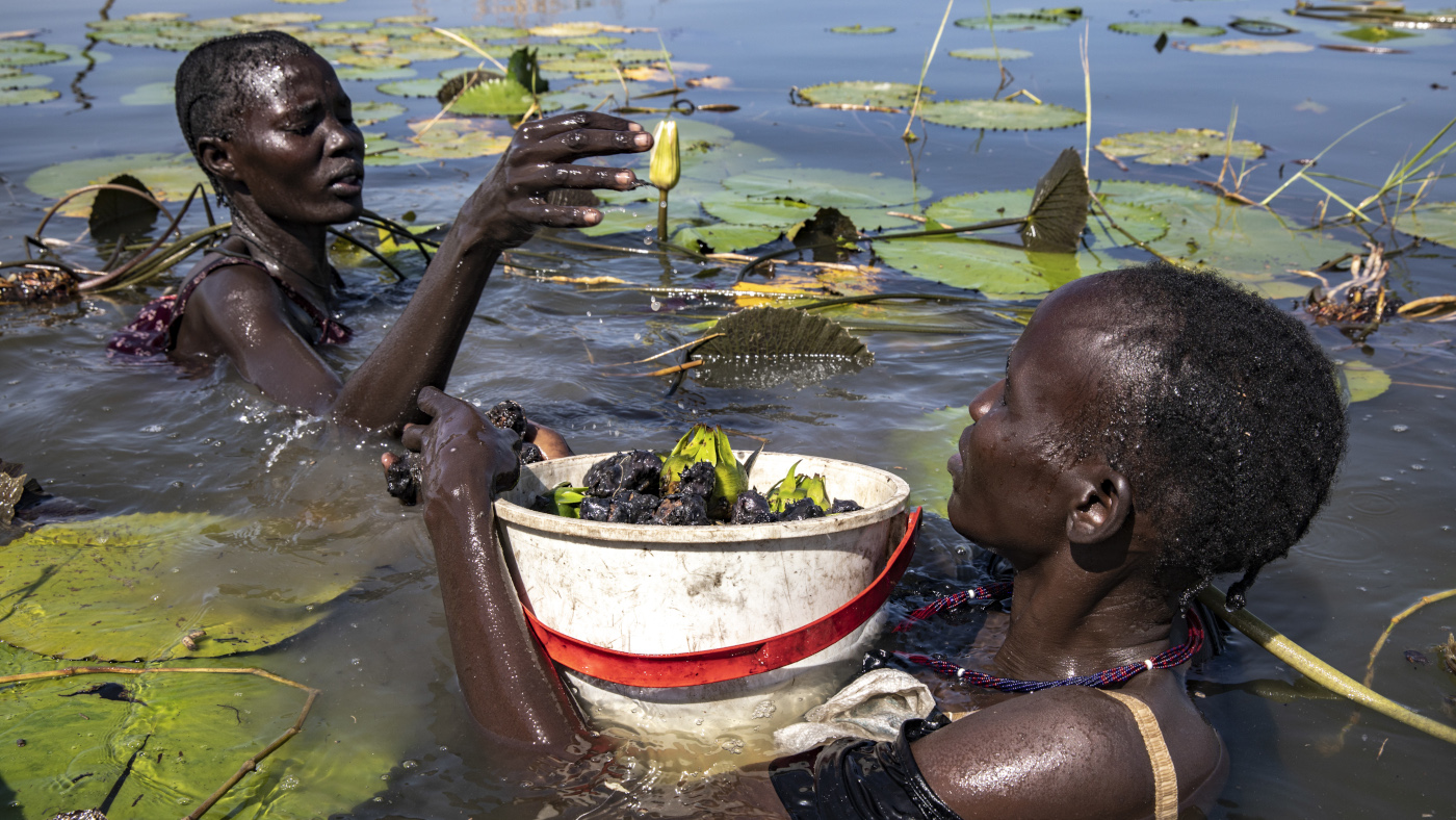 © ACNUR- Andrew McConnell 2