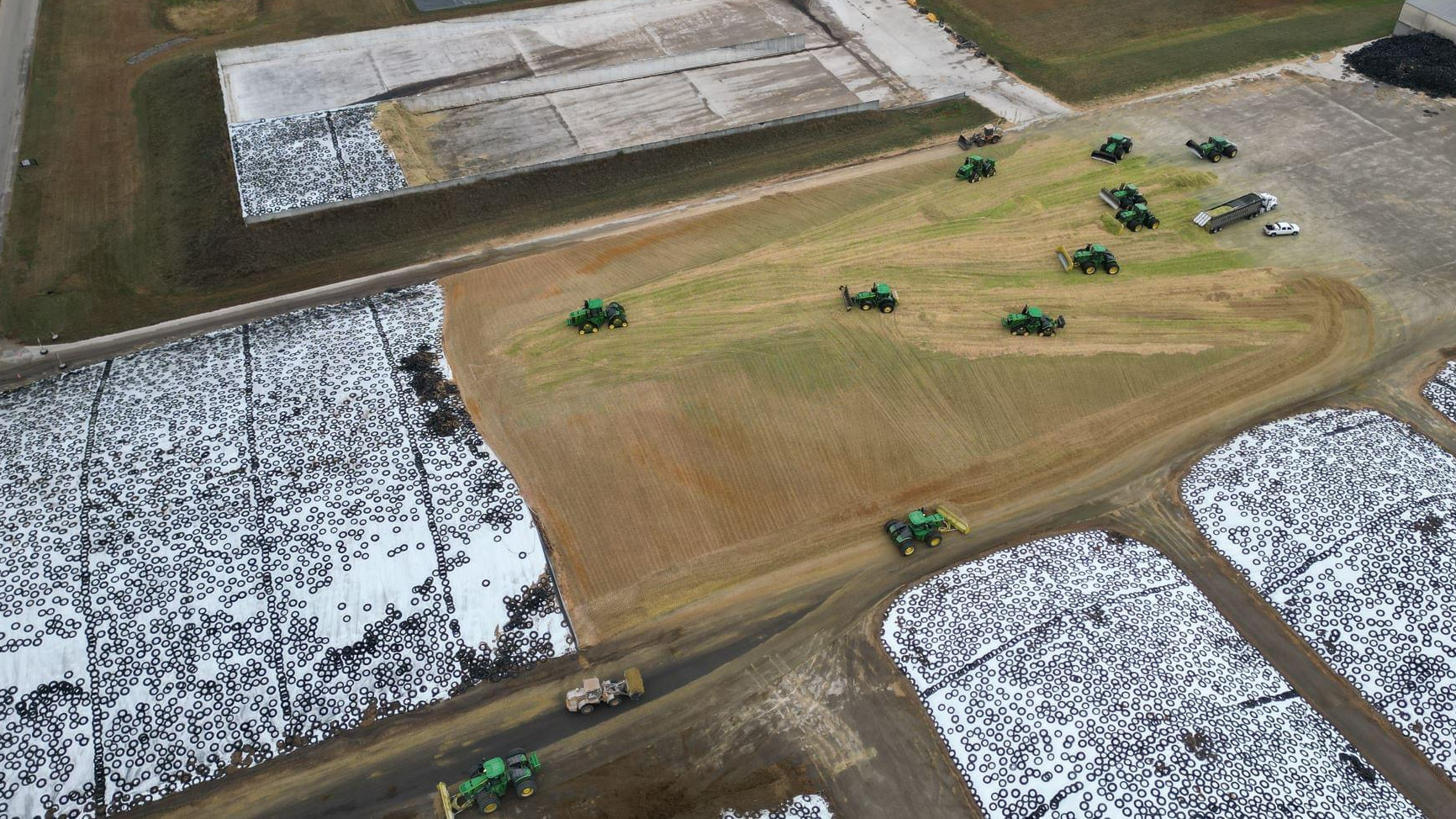 Producción de alimento para las vacas. Cedida