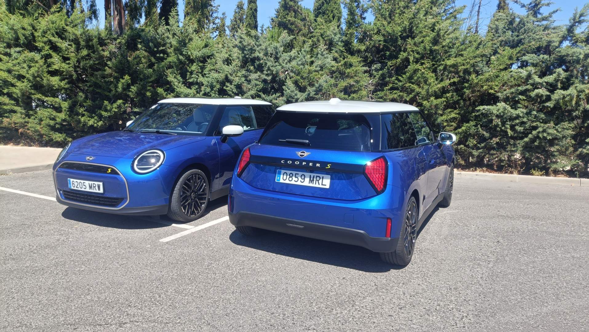 Mini (7)