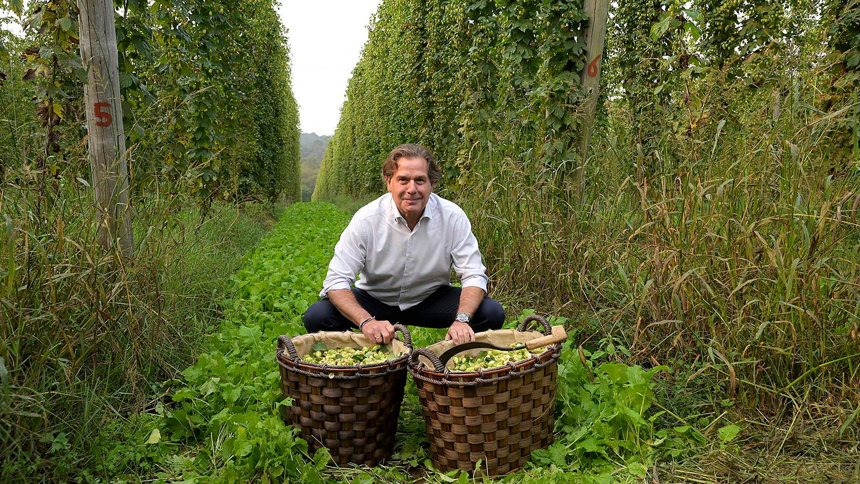 Ignacio Rivera en los campos de lúpulo en Abegondo. Moncho Fuentes