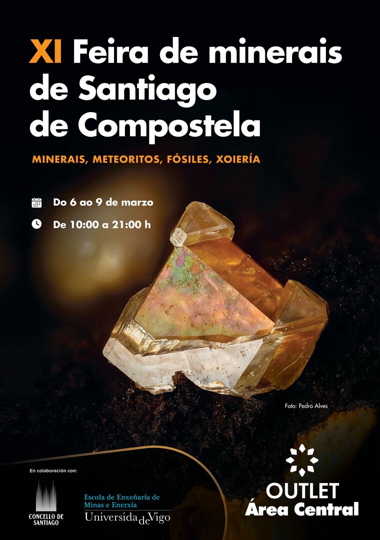 Cartel XI Feria de minerales de Santiago Área Central