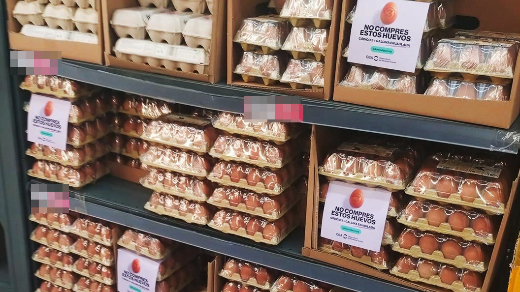 Iniciativa del Observatorio de Bienestar Animal. OBA