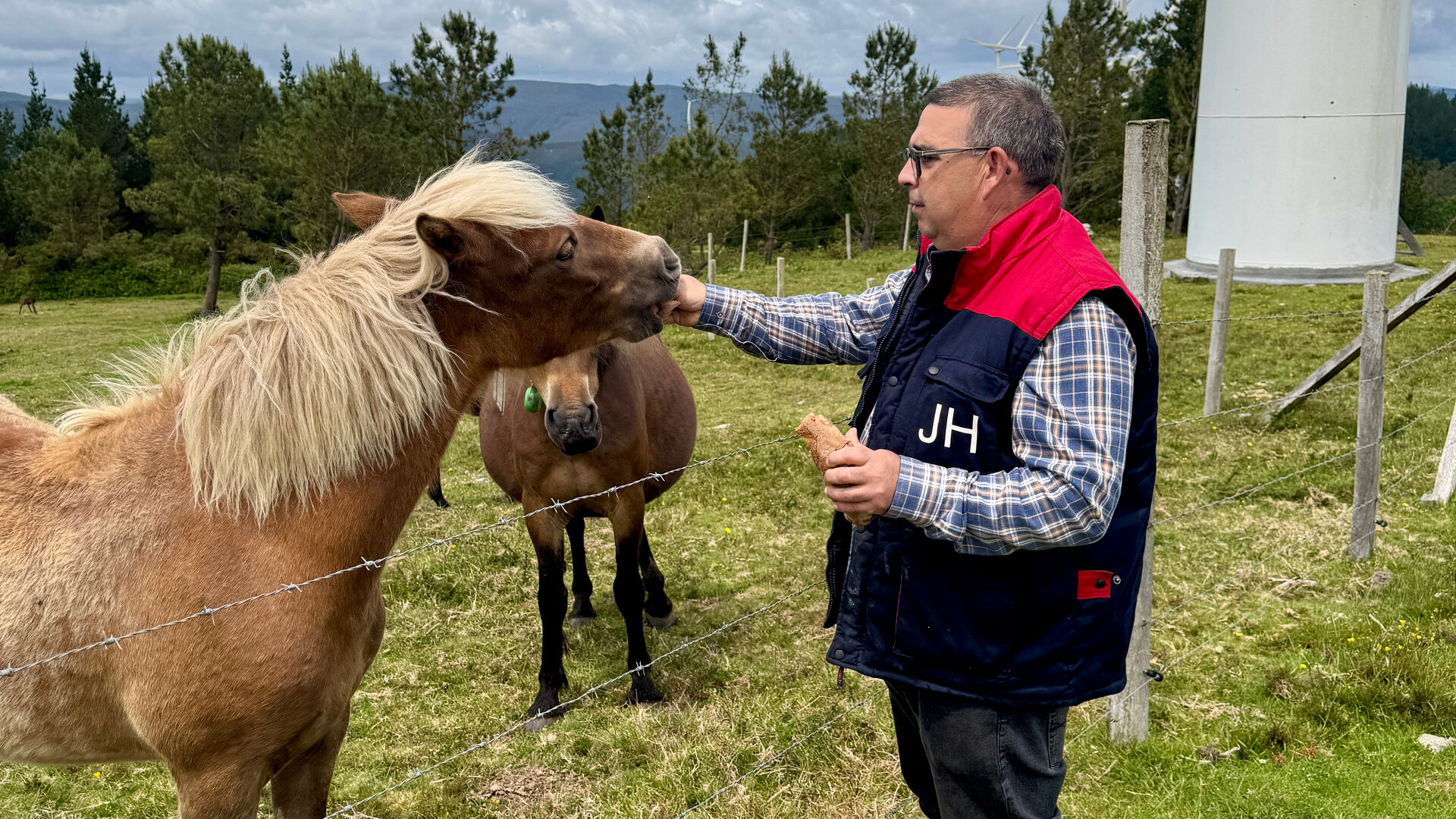 José Hermida, ganadero de Ourol, y sus caballos, al pie de un parque. EP