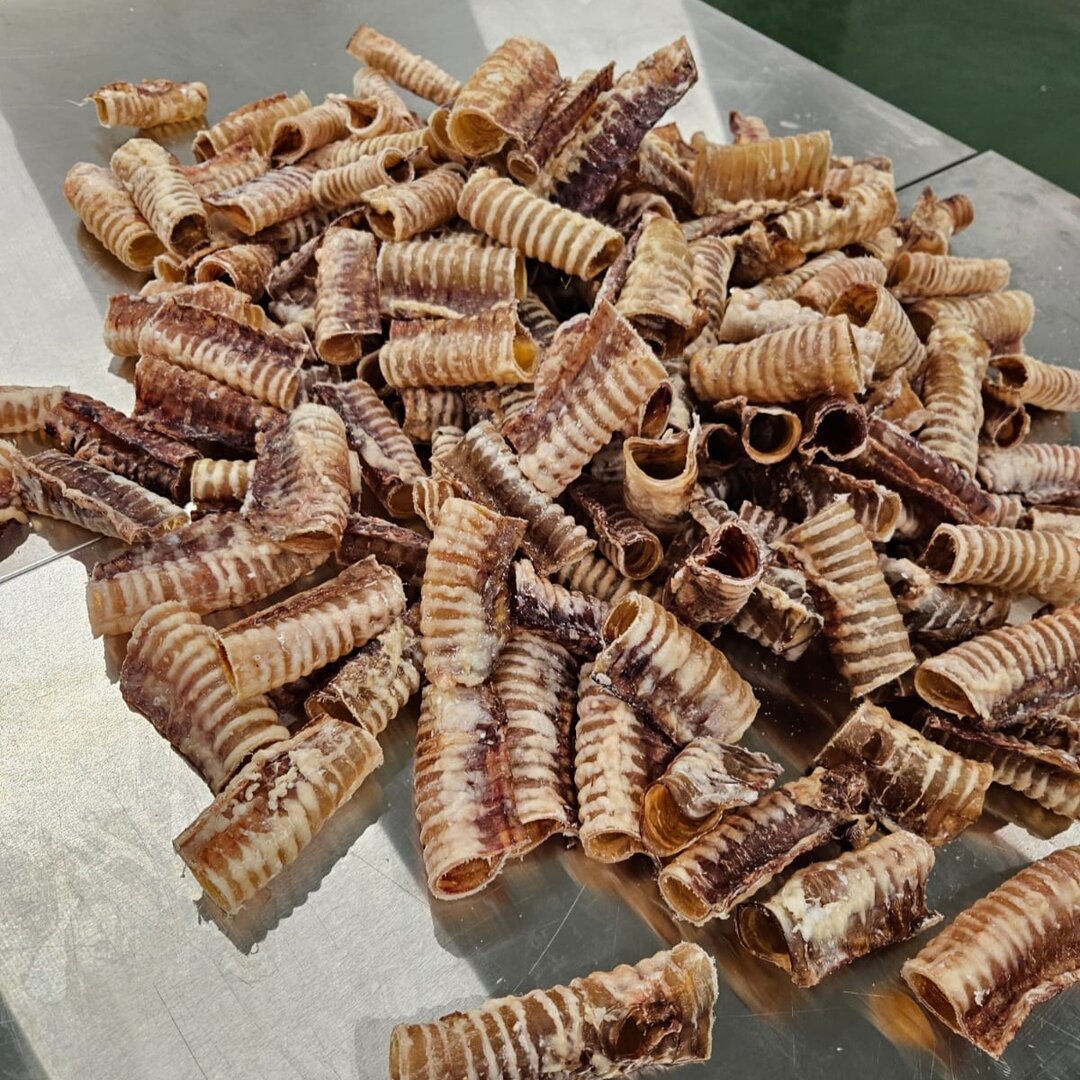 Producto de Dosdog. EP