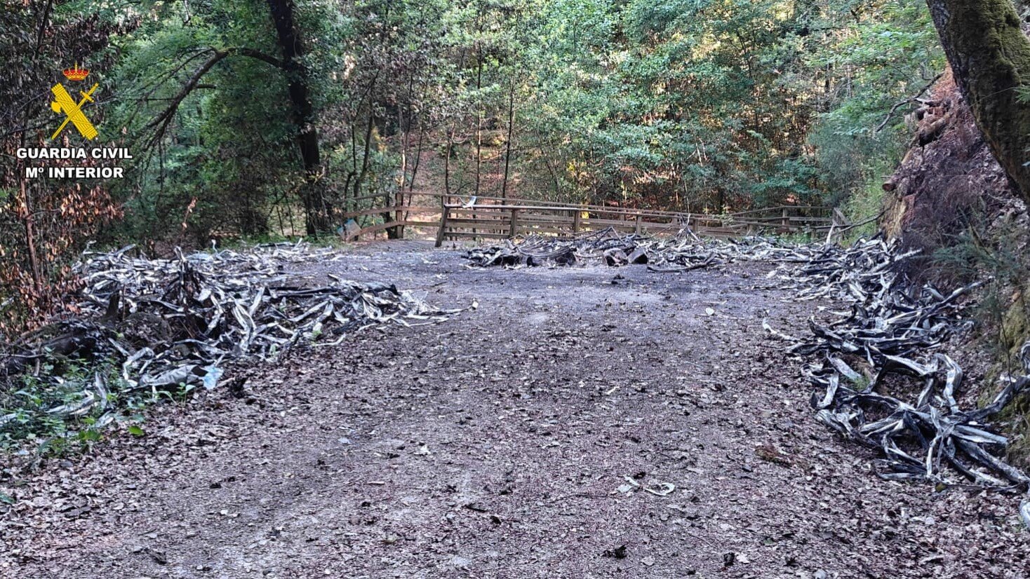 Desarticulado un grupo criminal en Ourense por roubar cable de cobre