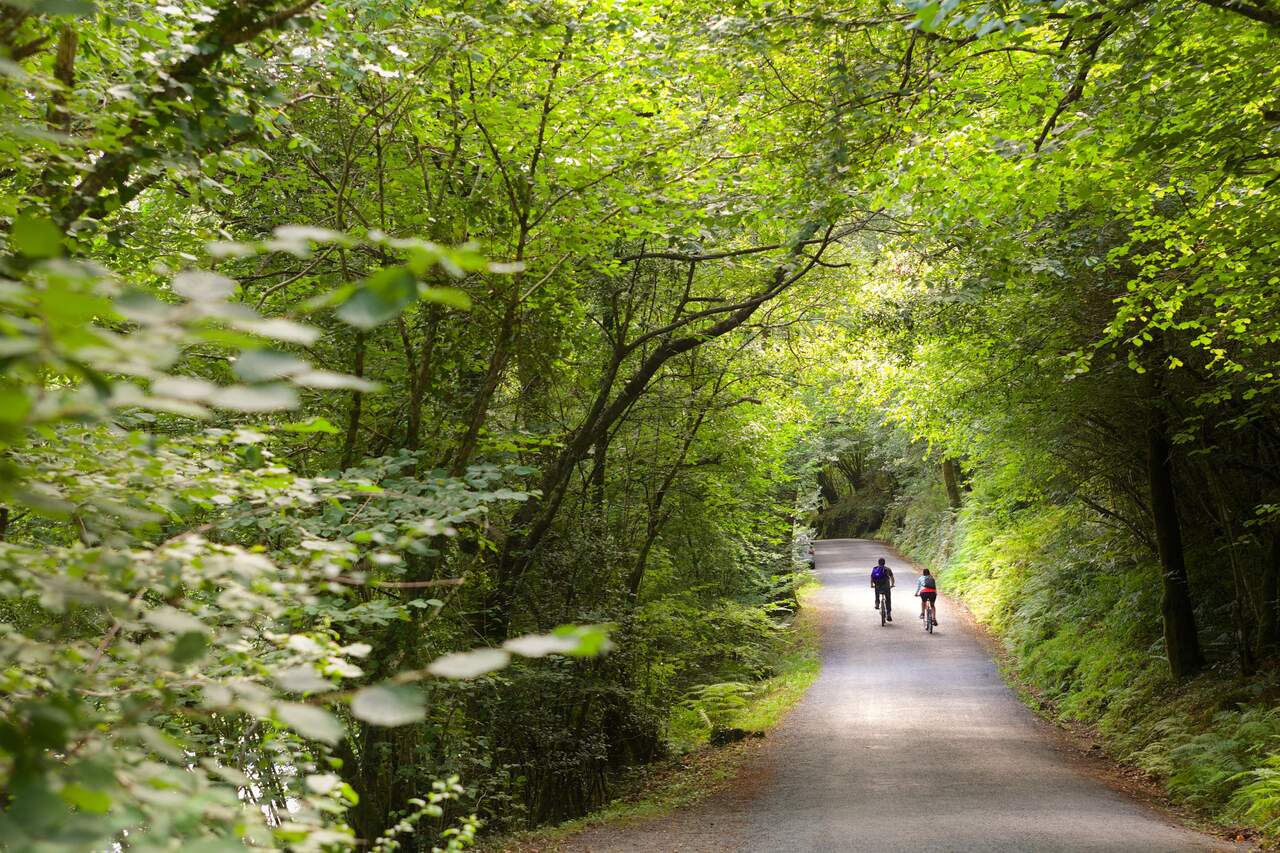 Camino inglés. CEDIDA