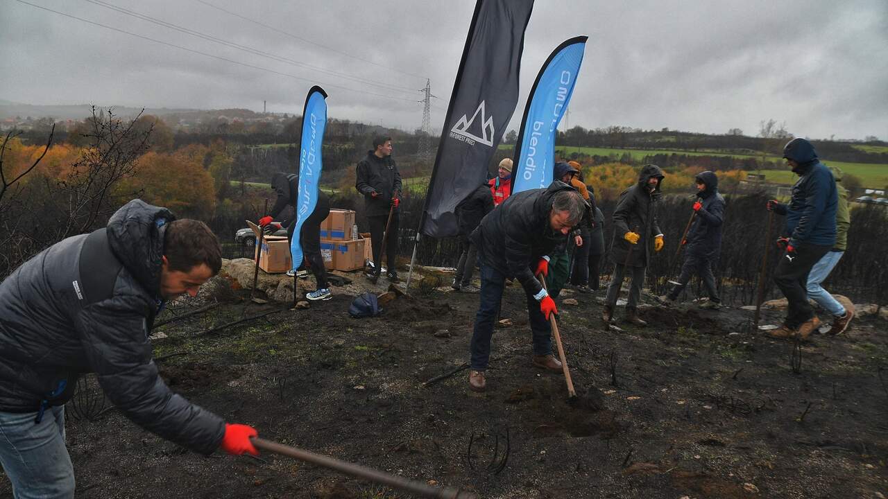 Omoda Jaecoo Cualedro (3)